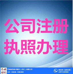 武漢巴迪商務(wù)服務(wù) 專(zhuān)業(yè)代賬與工商執(zhí)照代理，助力企業(yè)高效運(yùn)營(yíng)