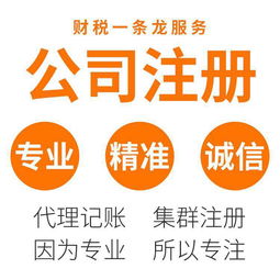 東莞虎門(mén)專(zhuān)業(yè)代辦服務(wù) 營(yíng)業(yè)執(zhí)照辦理與代理記賬一站式解決方案